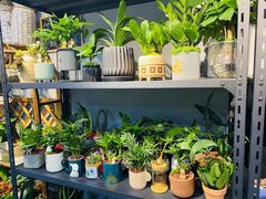 -何兮花店·气球派对鲜花店(马桥银春路万科城店)