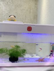 -水沐莲清瑜伽·普拉提