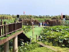 -洪湖生态旅游区