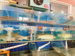 水产区-生态脆鲩鱼庄(吉惠园店)