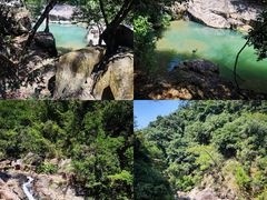 -广州白江湖森林公园