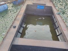 -西湖船菜(湖滨·碧水山庄店)