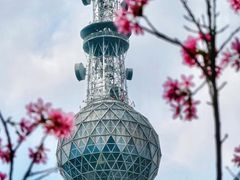 -文华公园(禅城区)