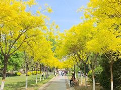 -南翠屏公园