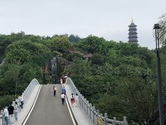 -重庆园博园