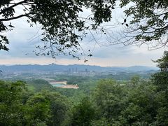 -大奇山国家森林公园
