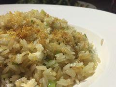 -T館·花园艺术餐厅