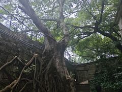 -胡里山炮台