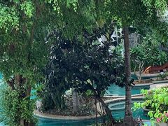 -三亚亚龙湾雅高美爵酒店