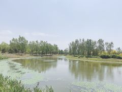 -东郊湿地公园