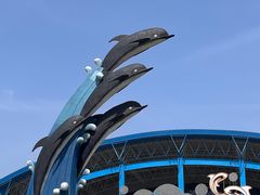 -泉城欧乐堡海洋极地世界