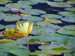 -昆山城市生态森林公园