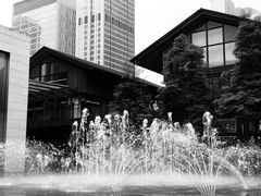 -ZARA(成都远洋太古里店)