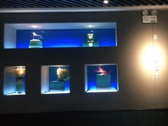 -蜀九香火锅(江油店)