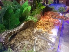 -爱有声毛肚串串火锅自助(龙之梦大都汇店)