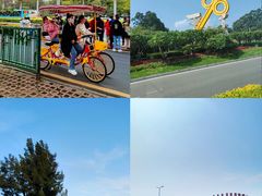 -黄金海岸环岛路