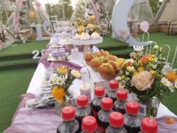 -觅糖派对·宝宝宴生日宴一站式派对策划(河西店)