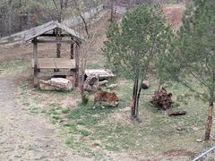 -石家庄市动物园