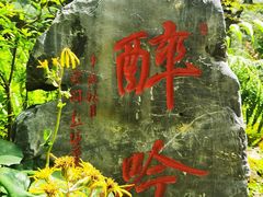 -上海醉白池公园