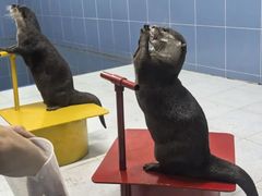 -太平洋海底世界