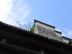 -自游人·美食一楼·地道徽菜(三十年名店)