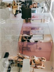 -MINX名珂斯·烫染形象设计