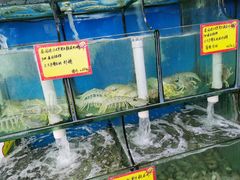 水产区-蚝专家(北滘店)