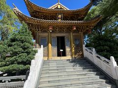 -上海东林寺(金山区)