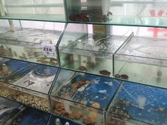 水产区-雅逸居海鲜小厨