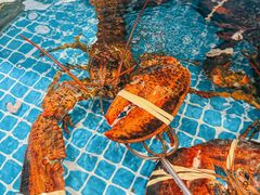 -良师门滨海人家·海鲜·家常菜(滨海城店)