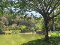 -三亚南山文化旅游区