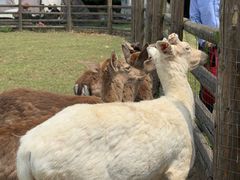 -苏州吴中太湖旅游区