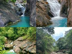 -广州白江湖森林公园