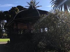 景点-墨尔本皇家植物园