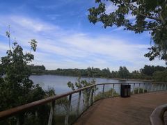 -东郊湿地公园