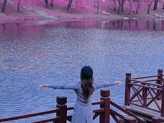 -长春公园(普阳街道)