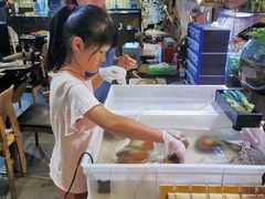 -十八字金·银饰·拼豆·开蚌DIY(魏公芳华里店)