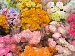 -溪岸路花鸟市场