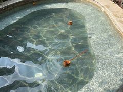 -四季贵州·山地温泉水世界