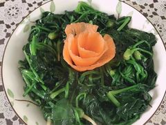 -喜月妈咪私家月嫂