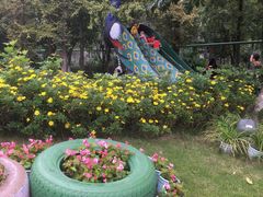-成飞公园