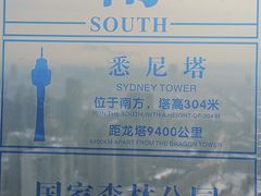 -龙塔