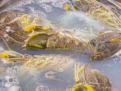 -凯华海鲜火锅·传承三十六年