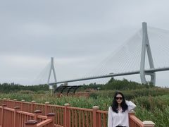 -芒洲湿地公园