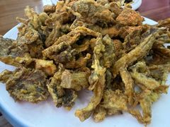 炸蘑菇-小媳妇凉粉(浑源店)