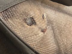 -芭比堂动物医院·犬猫全科·异宠专科(雁塔分院)