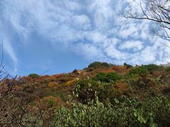-抱龙峪