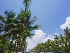 -三亚南山文化旅游区