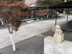 -苏州本色美术馆