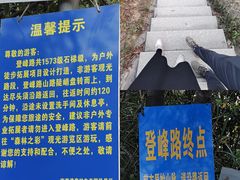 -南海湾森林生态园
